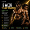 NZFIT 12 Week Transformation